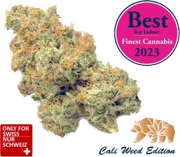Super Harley Quinn Gorilla Glue CBD – Cali Weed Strain