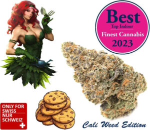Girl Scout Cookies CBD Blüten Indoor