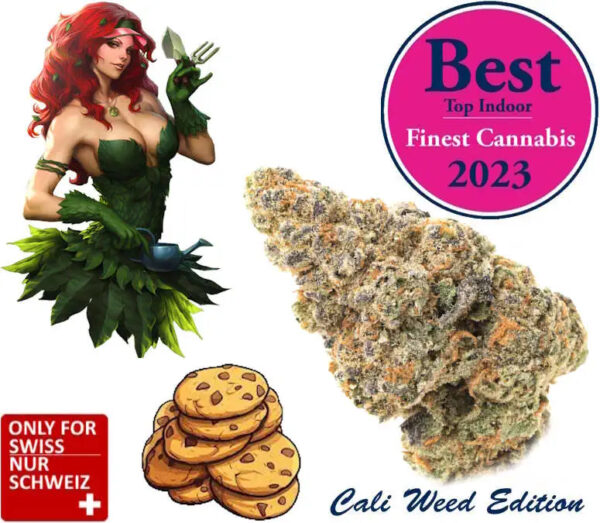 Girl Scout Cookies CBD Blüten Indoor