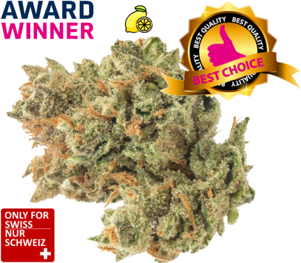 Super Lemon Haze CBD Blüten