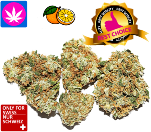 CBD Orange Bud Skunk Indoor Blüten – | Ab 2.50/gr.