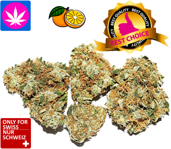 CBD Orange Bud Skunk Indoor Blüten – | Ab 2.50/gr.