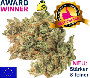 Super Lemon Haze Indoor Europa
