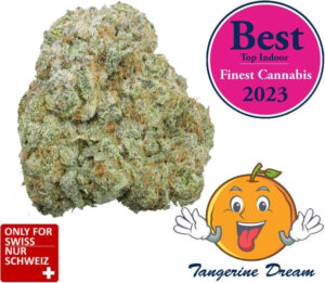 Tangerine Dream Strain CBD – Neuer Strain 2025