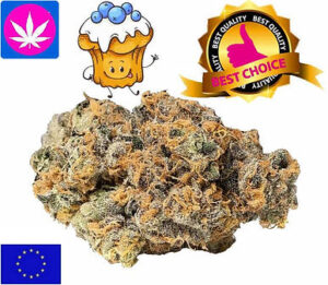 Blueberry Muffin CBD EU Indoor
