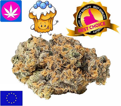 Blueberry Muffin CBD EU Indoor