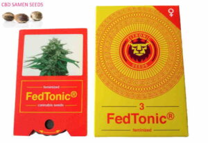 Fedtonic CBD Seed – Cup Winner