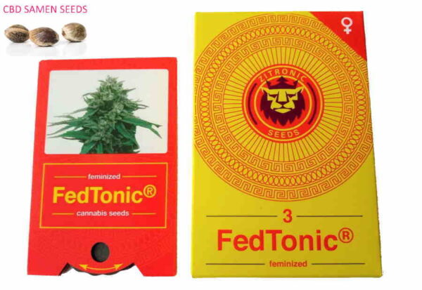 Fedtonic CBD Seed – Cup Winner