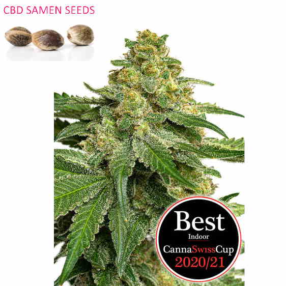 Saparot Canna Swiss Cup Winner