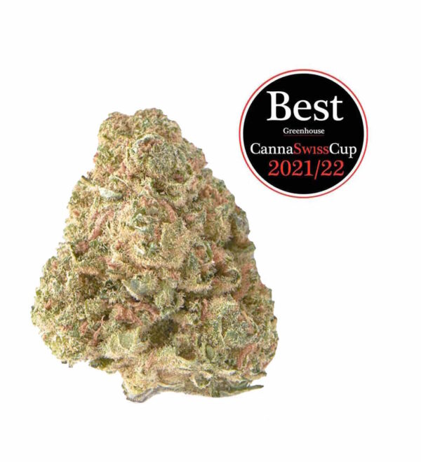 Limon Haze CBD Glashaus
