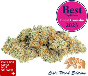 Super Amnesia Haze CBD Blüten – Cali Weed Strain