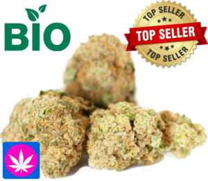 BIO CBD Blüten Canna Tonic – Glashaus bis 1kg