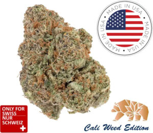 USA California Dream CBD Glashaus Blüten