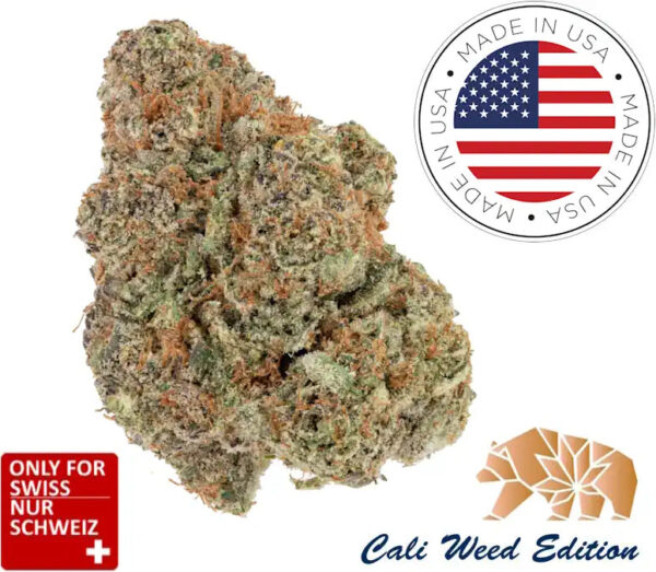 USA California Dream CBD Glashaus Blüten