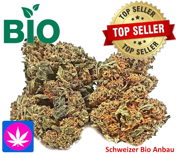 CBD Blüten Erdbeerli Glashaus Bio – 500g bis 1kg