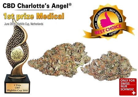 CBD Charlottes Angel Indoor Blüten