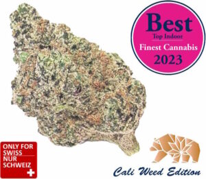 CBD Critical Kush Blüten – Cali Weed Strain 2025