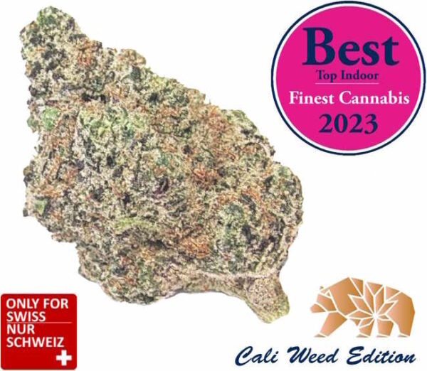CBD Critical Kush Blüten – Cali Weed Strain 2025