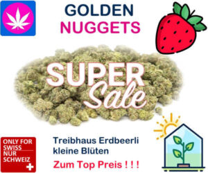 Golden Nuggets Erdbeerli CBD