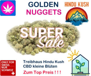 Golden Nuggets CBD Blüten Hindu Kush