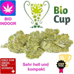 Northern Lights Haze Bio Indoor