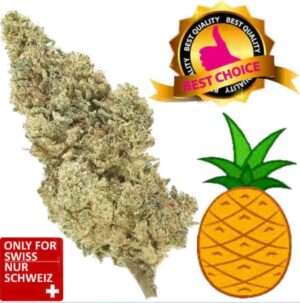 Pineapple Express CBD Blüten Indoor