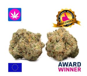 Super Gorilla Glue CBD Blüten EU Indoor