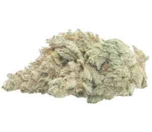 cbd blüten white widow