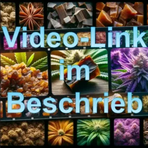 Video-Link zu Gorilla Glue CBD Blüten – Sorte und Qualität im Überblick