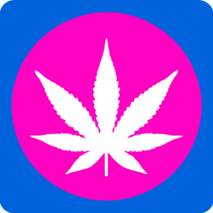 CBD Trim Zürich