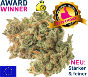 Lemon Haze Deutschland