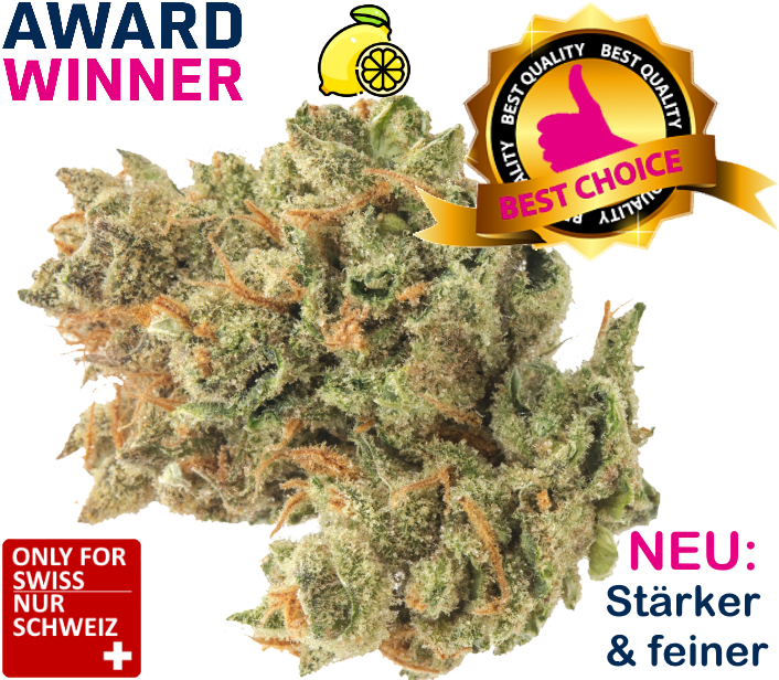 CBD Blueten Super Lemon Haze 27 Prozent Indoor Schweiz