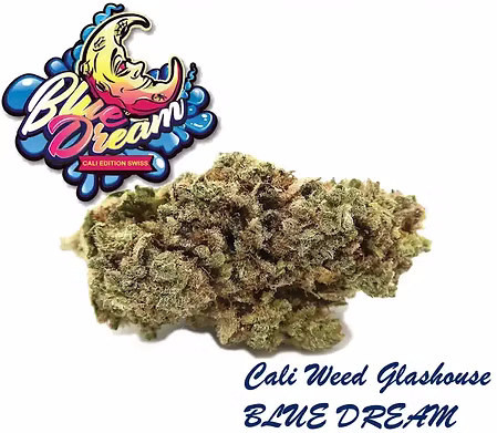 CBD Blue Dream Blueten Glashaus Schweiz THC unter 1 Prozent