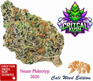 critical cbd