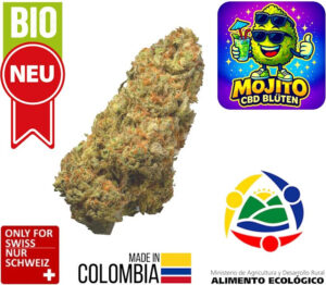 Mojito CBD Blüten Bio