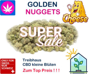 Swiss Cheese CBD Blüten