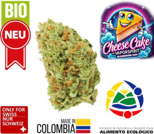 cheese cbd