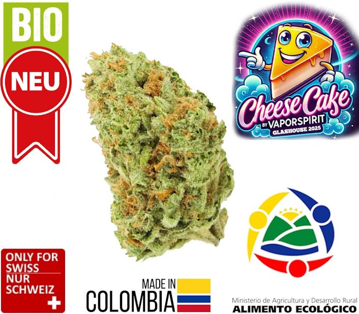 cheese cbd