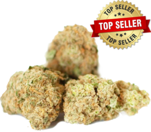 CBD Canna Tonic