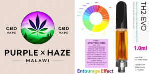 CBD Vape Schweiz