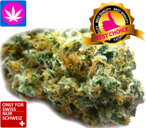 Rainbow Haze