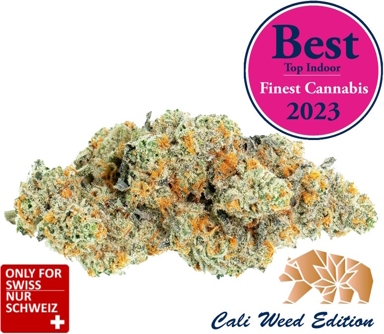 CBD Amnesia Haze Indoor Blüten aus der Schweiz mit hohem CBD-Gehalt
