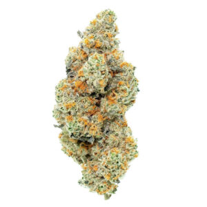 Amnesia Haze CBD Blüte aus Indoor Anbau mit typischer Haze-Struktur