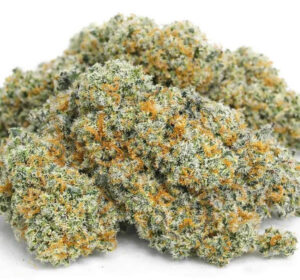 Nahaufnahme der Amnesia Haze CBD Blüte mit dichter Trichomstruktur