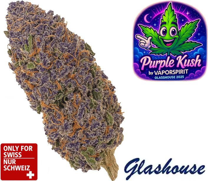 CBD Purple Kush