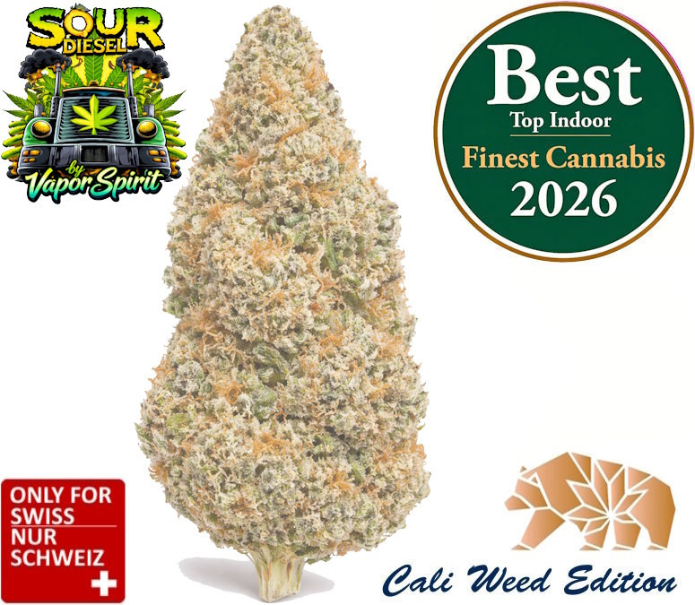 Diesel CBD Blüte Sour Diesel Nahaufnahme