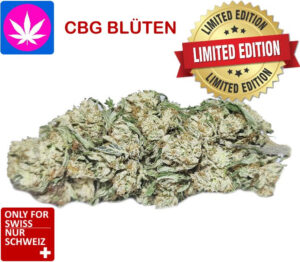 cbg blüten kaufen schweiz