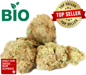 CBD Canna Tonic