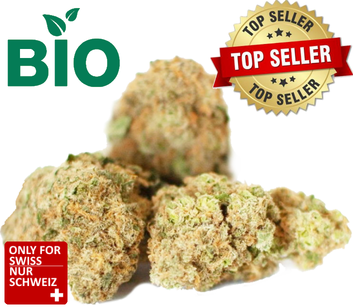 CBD Canna Tonic