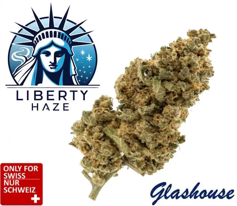 CBD Liberty Haze